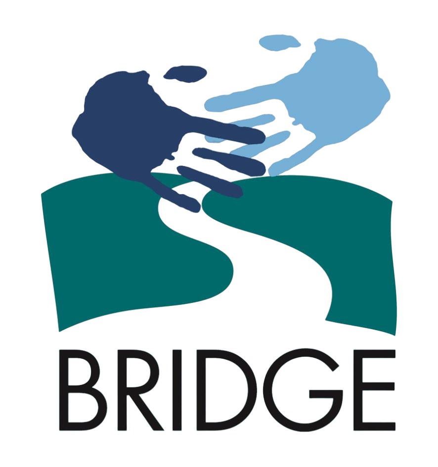 logo BRIDGE_no background