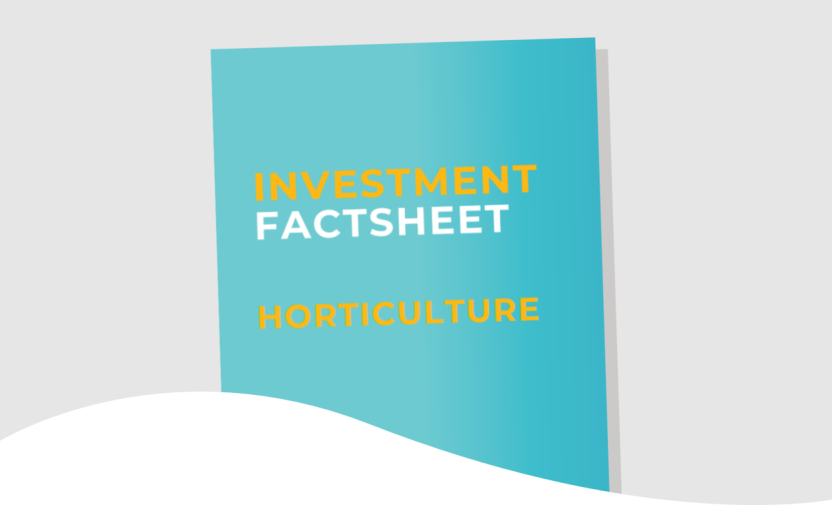 SUSTAIN Investment factsheet: catalysing sustainability of Horticulture in Vanduzi and Barue districts