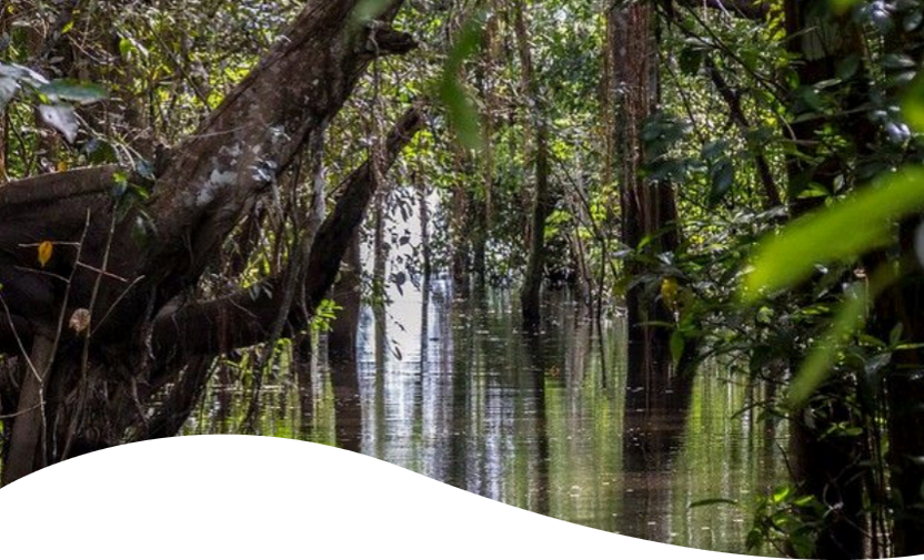 Ecuador-Peru transboundary basins
