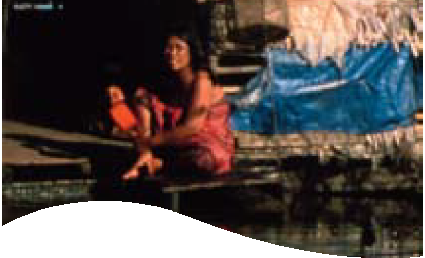 Securing Water for Ecosystems and Human Well-being: The Importance of Environmental Flows