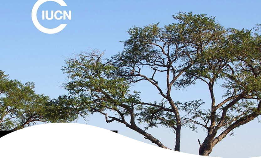 SUSTAIN ECO (2023-2025)