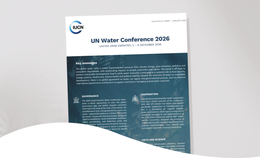 IUCN Policy Brief for the UN Water Conference 2026