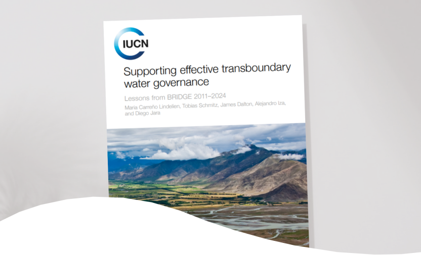 Supporting effective transboundary water governance
