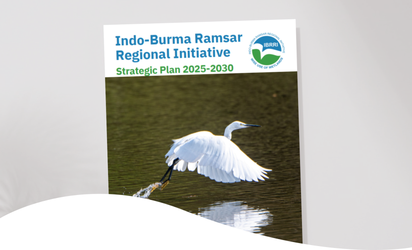 Indo-Burma Regional Ramsar Initiative (IBBRI) Strategic Plan 2025-2030