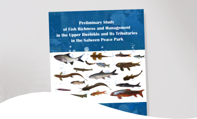Preliminary Studies of Fish Richness and management in the Upper Bweloklo