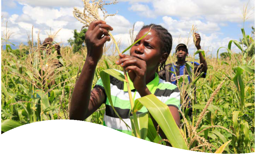 SUSTAIN Annual Report 2018-2019