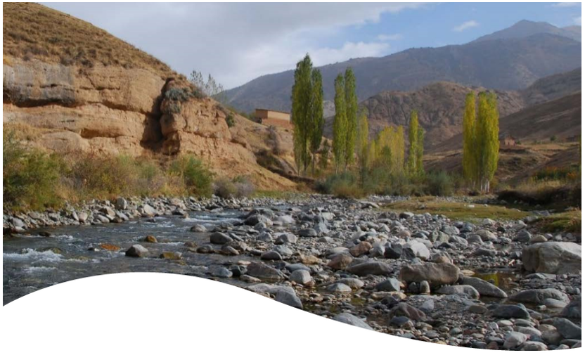 Regional institutional arrangements advancing water, energy and food security in Central Asia : institutional gap analysis