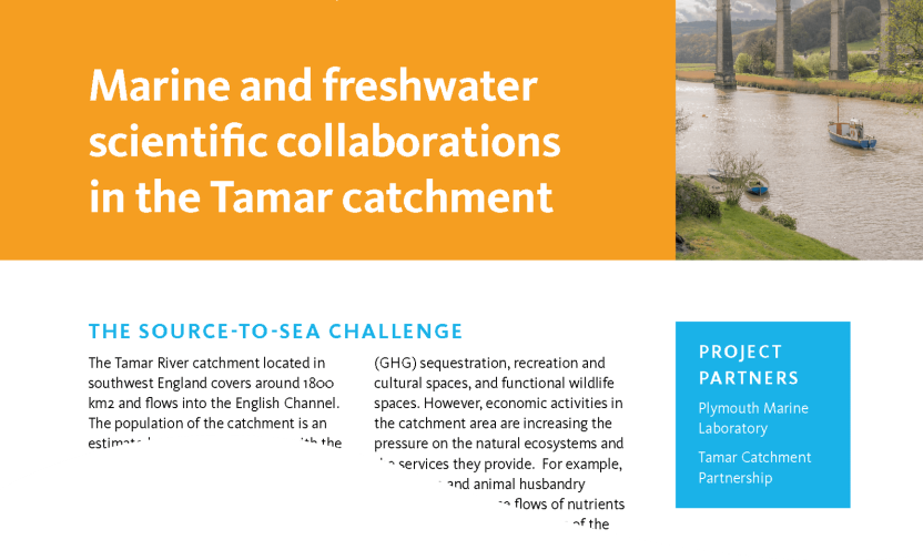Case Study – Marine and freshwater scientific collaborations in the Tamar catchment