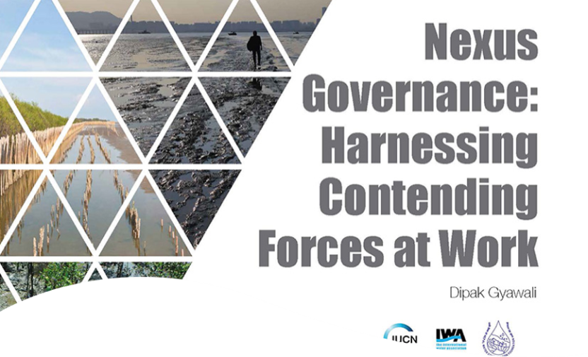 Nexus governance: harnessing contending forces at work
