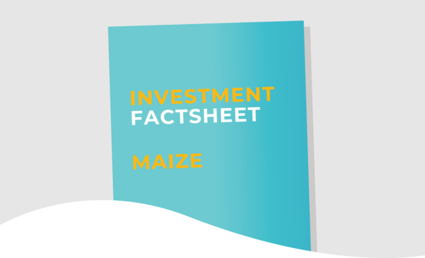 SUSTAIN Investment factsheet: catalysing sustainability and production of Maize in Vanduzi and Barue districts