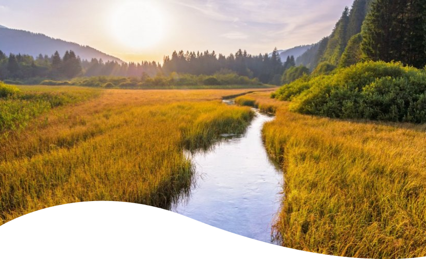 Nature-based Solutions for Water - Infrastructure at your service