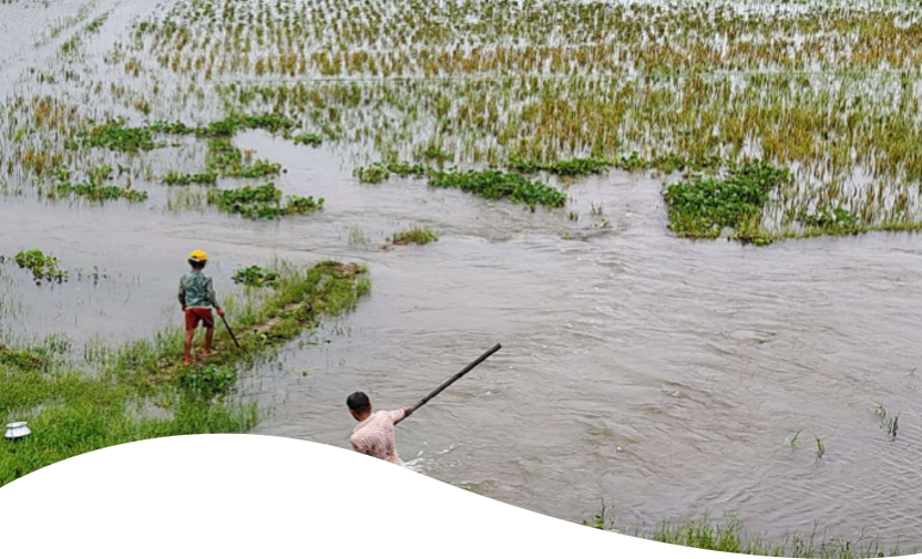 Youth Perspectives on Tanguar Haor - series of visual factsheets