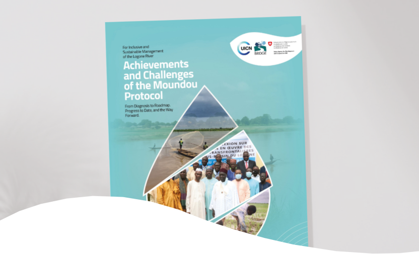 Achievements and Challenges of the Moundou Protocol