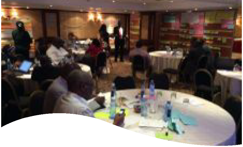 Participatory Scenario Building Workshop Report - Tana River (2015)